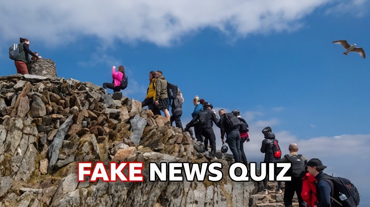 AI貓貓戴帽亂入日蝕新聞 BBC考你分辨真假